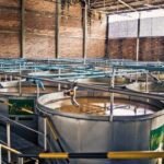 Industria tequilera: el cumplimiento normativo como base de la continuidad operativa